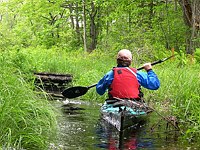 Spurwink River Marsh at high tide
