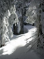 Steamboat Powder Colorado 