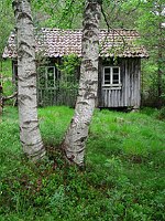 Eiesland Hytte Fjotland Norway