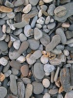 Beach Rubble - Maine