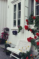 Ris�r Bench Norway