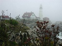 Portland Headlight Fog