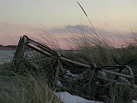 Winter Beached Lobster Trap 